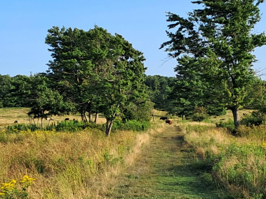 Photo: Untitled