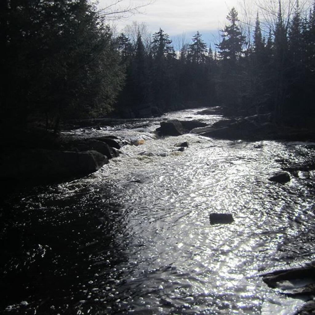 Photo: Deer River off of Webster Mill Road Photo: Deer River off of Webster Mill Road