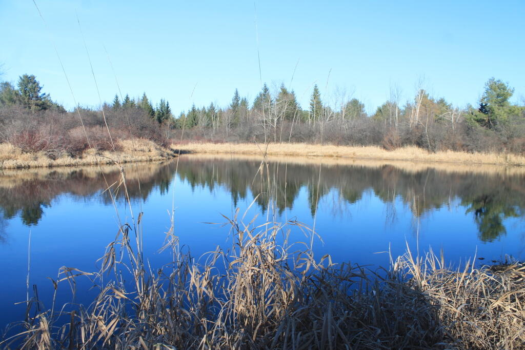 Photo: Thacher Park Pond