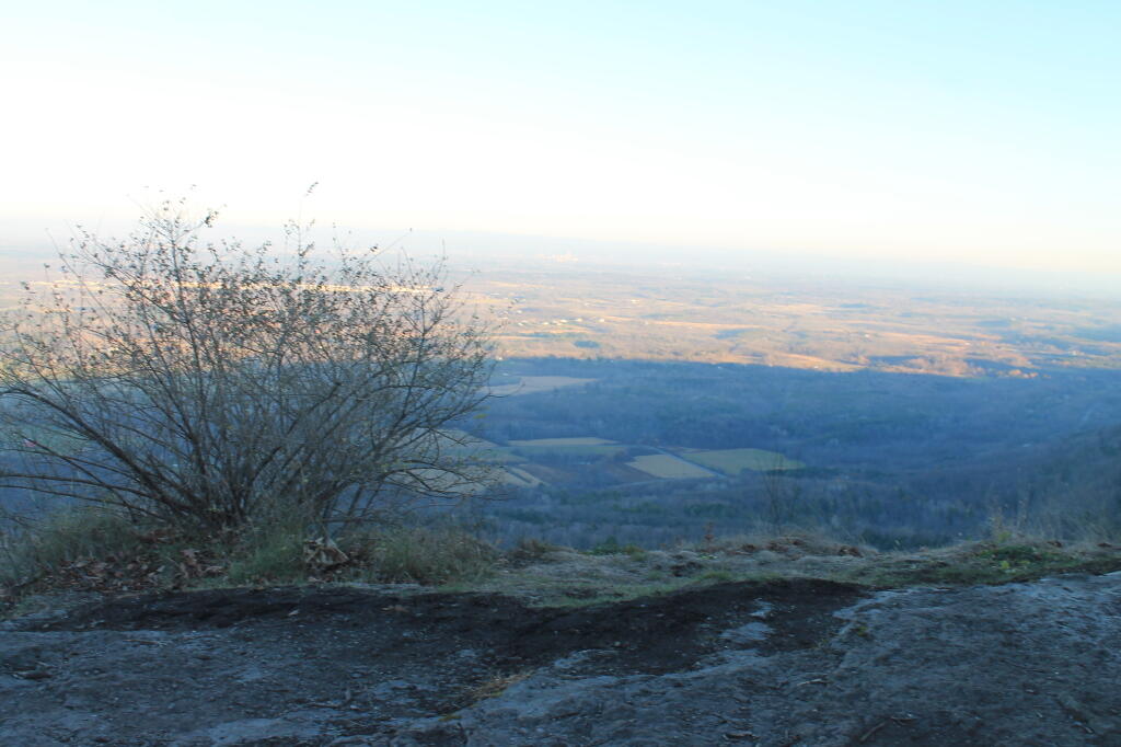 Photo: Looking Off
