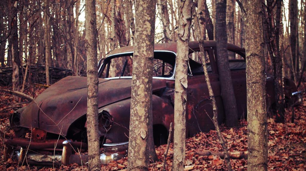 Photo: Old Car in the Woods
