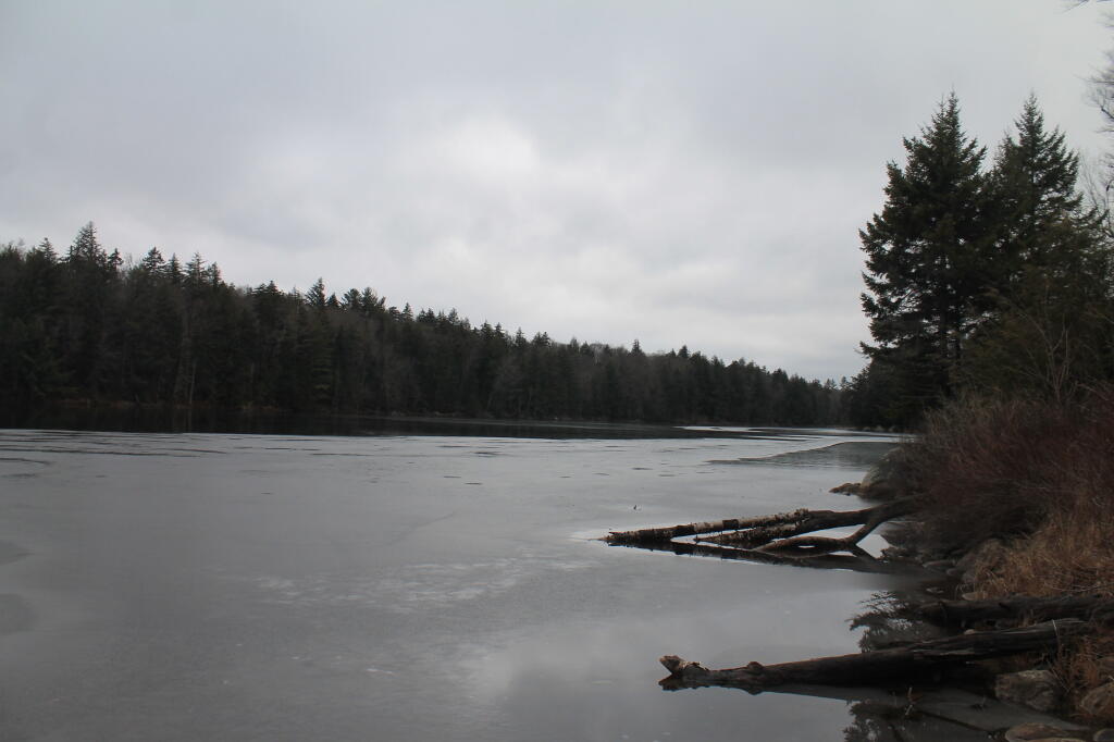 Photo: Huntley Pond Photo: Huntley Pond