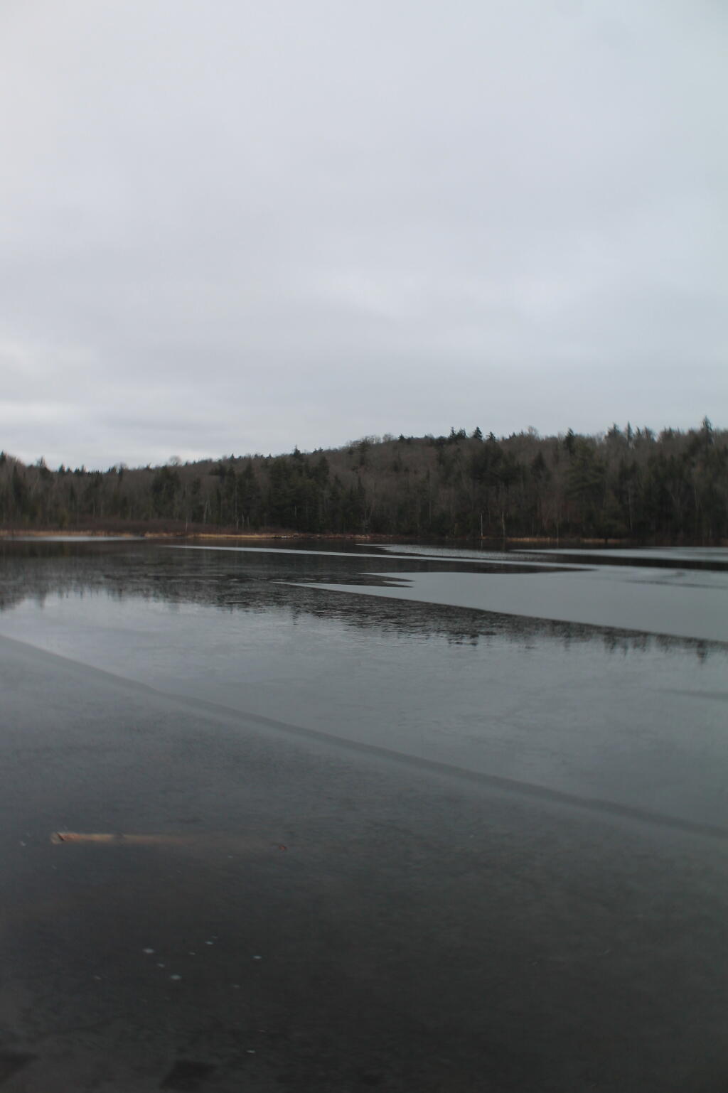 Photo: Ice Starting to Form on Huntley Pond