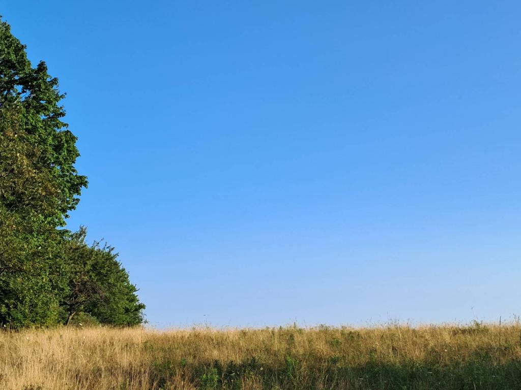 Photo: Untitled