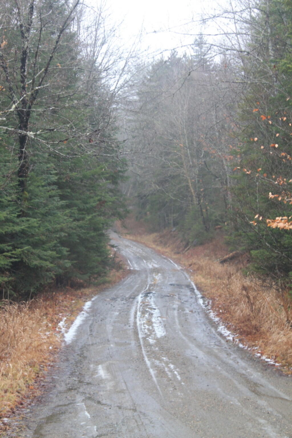 Photo: Previously Frozen Boreas RIver Road Thaws Out