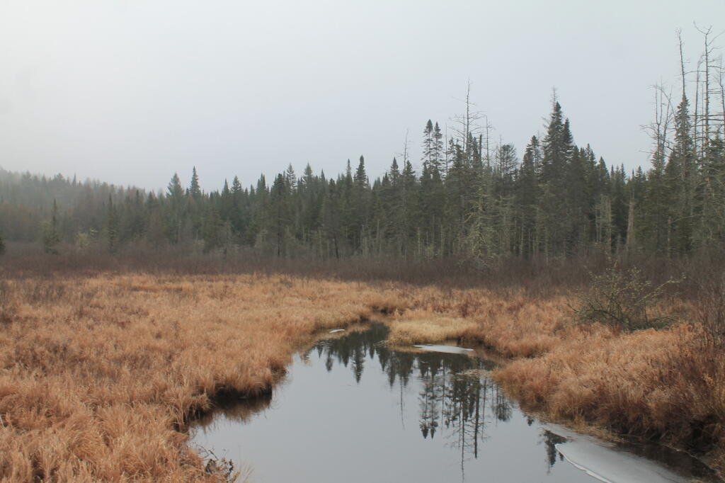 Photo: Untitled Photo: Untitled