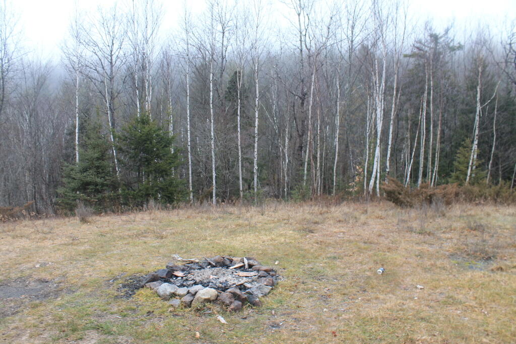 Photo: Boreas Road Campsite Photo: Boreas Road Campsite