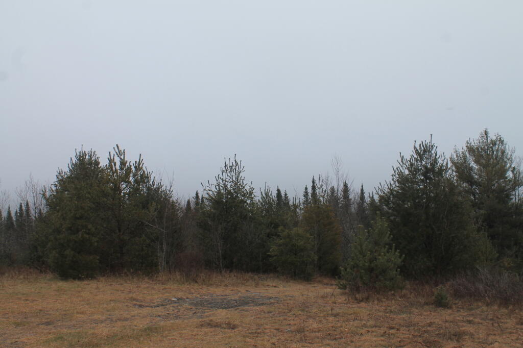 Photo: View from Boreas Campsite