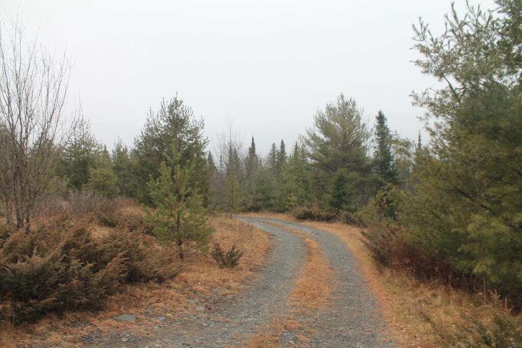 Photo: Boreas Road Campsite Driveway