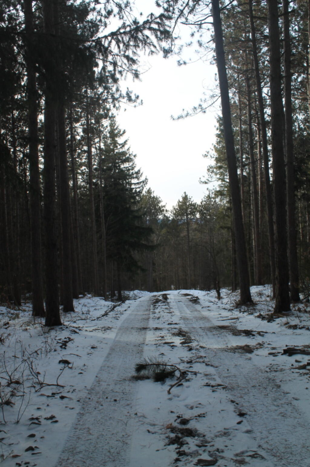 Photo: Icy Cotton Hill Truck Trail