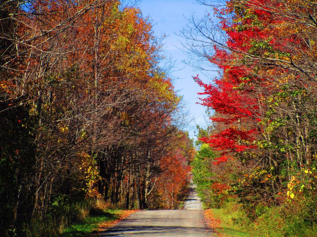 Photo: Bradt Hollow Road