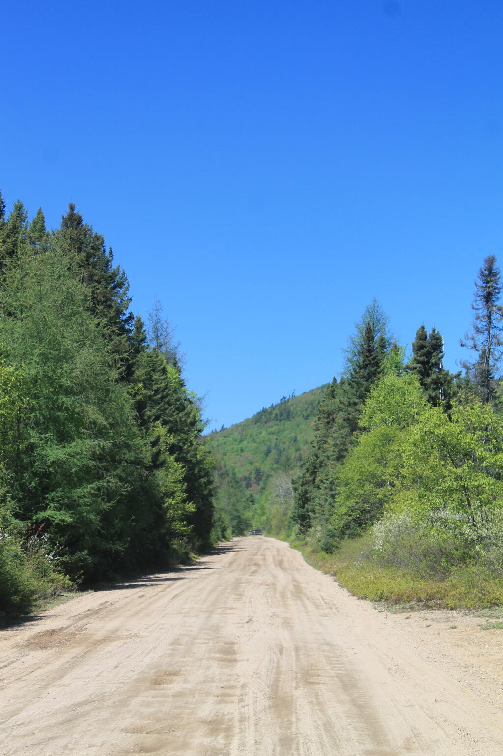 Photo: Plains Road
