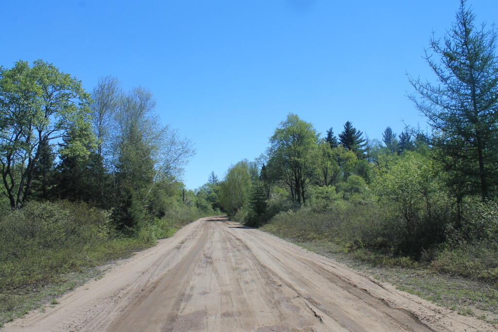 Photo: Road Got a Little Rutted from the Rain