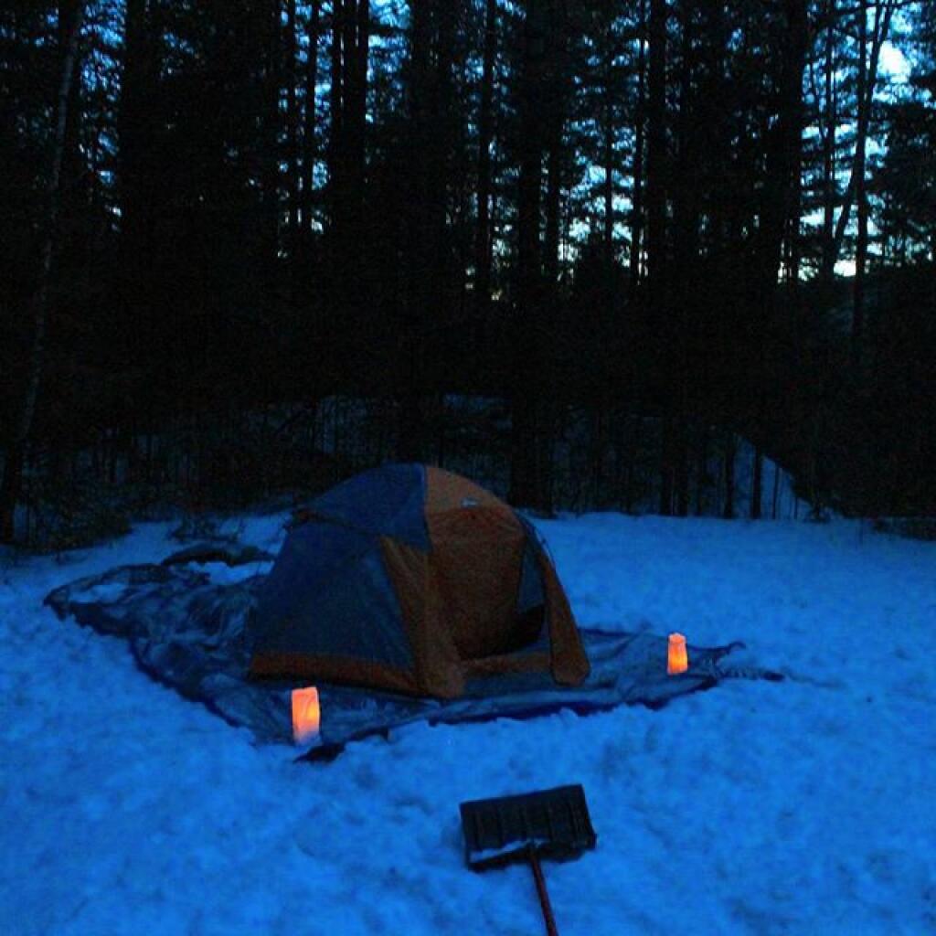 Photo: Preparing for the night Photo: Preparing for the night