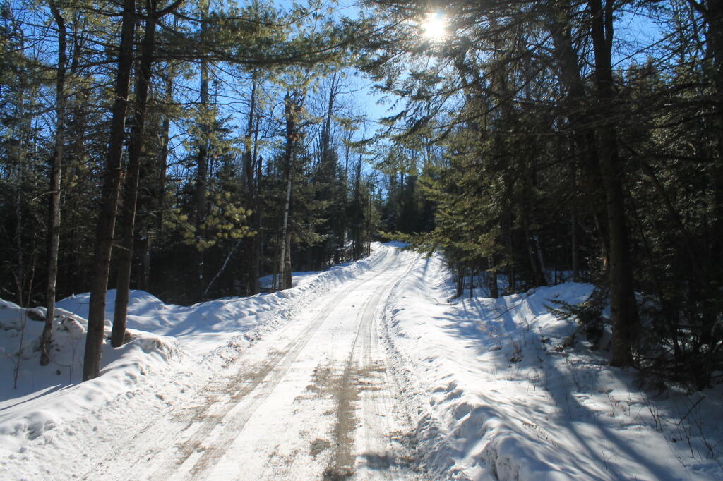 Photo: Belfry Mountain Firetower Road Photo: Belfry Mountain Firetower Road