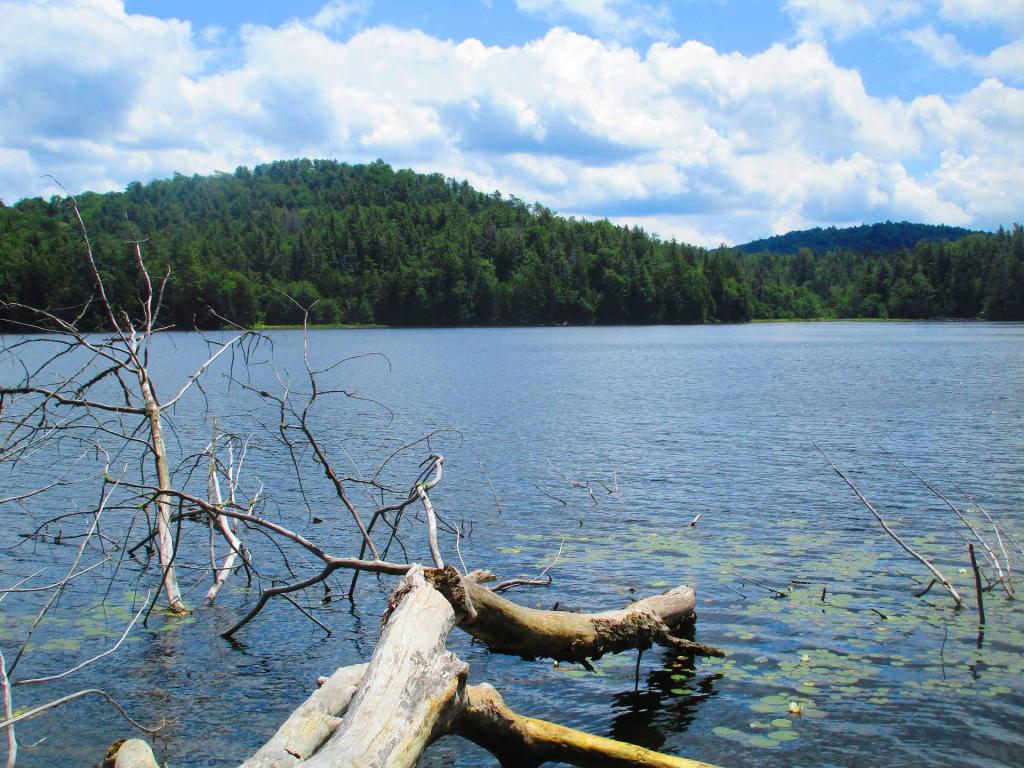 Photo: Ferris Lake