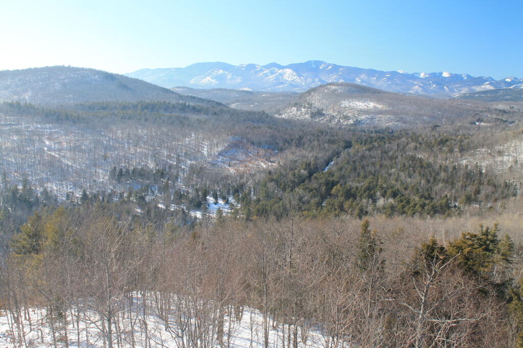 Photo: Untitled Photo: Untitled