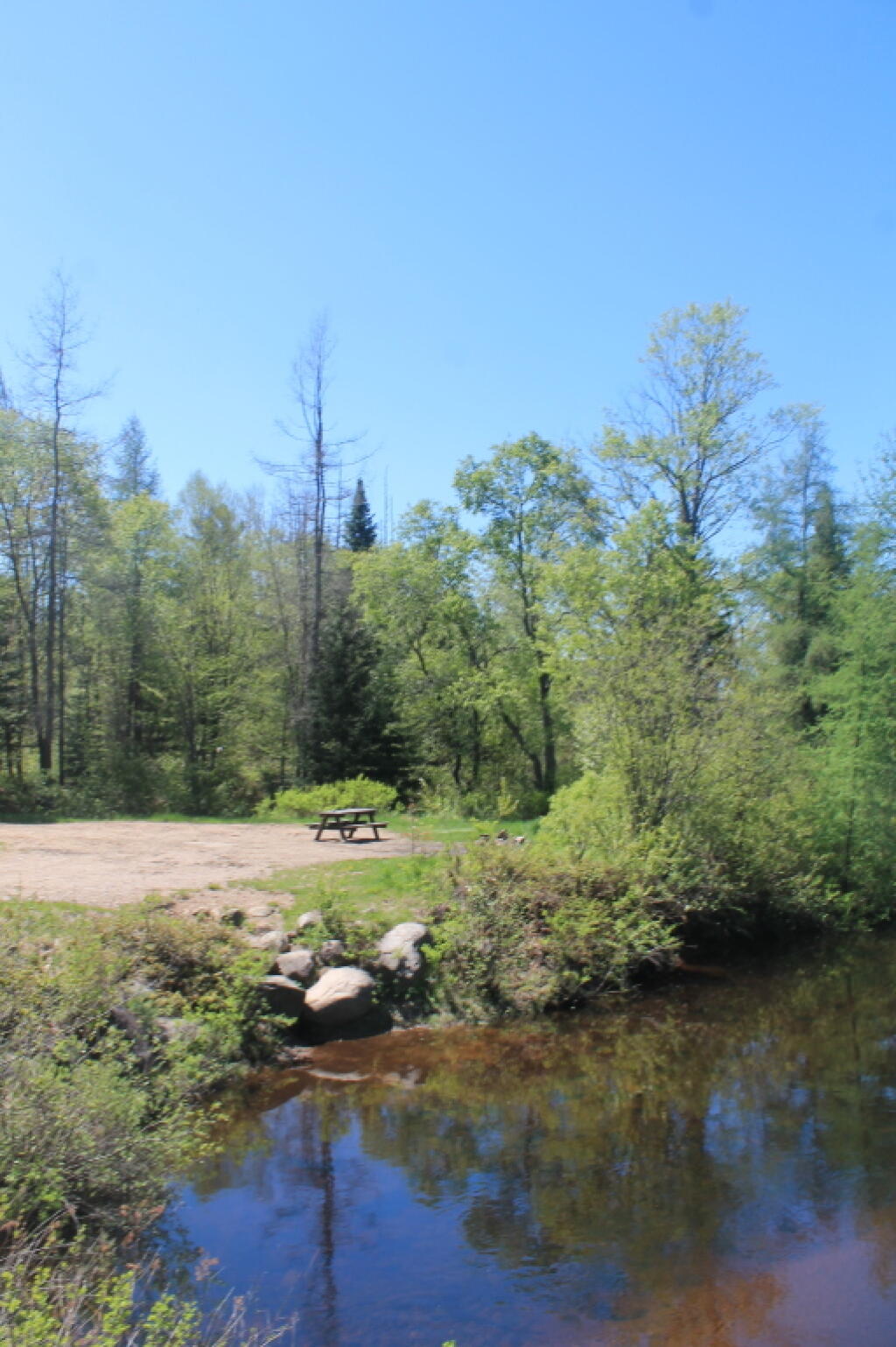 Photo: Campsite Along Red River