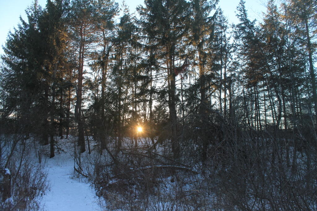 Photo: Early Sunset