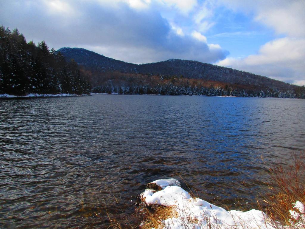 Photo: Siamese Ponds