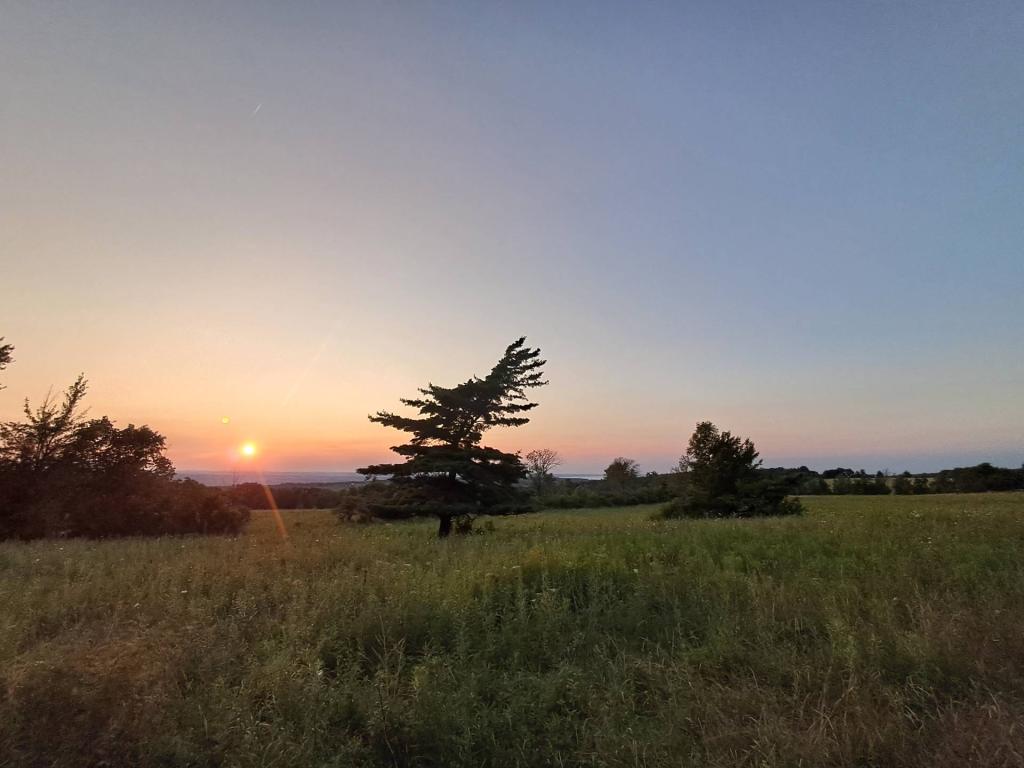 Photo: Out in the Pastures