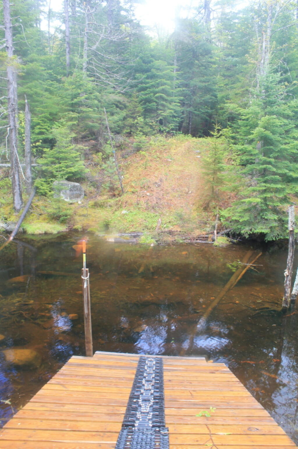 Photo: The Creek Crossing on Mitchells Pond Loop