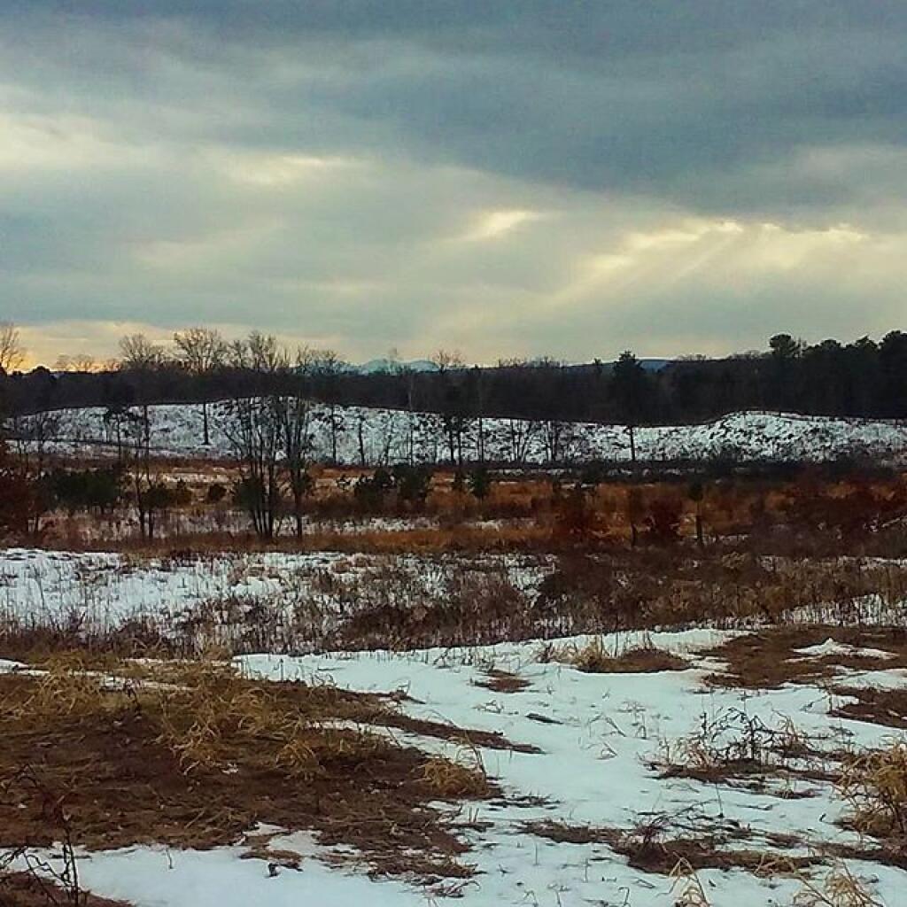 Photo: A winter's day
