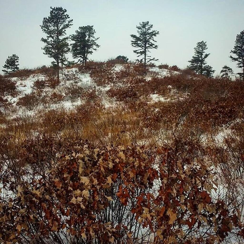 Photo: Along the Truax Trail