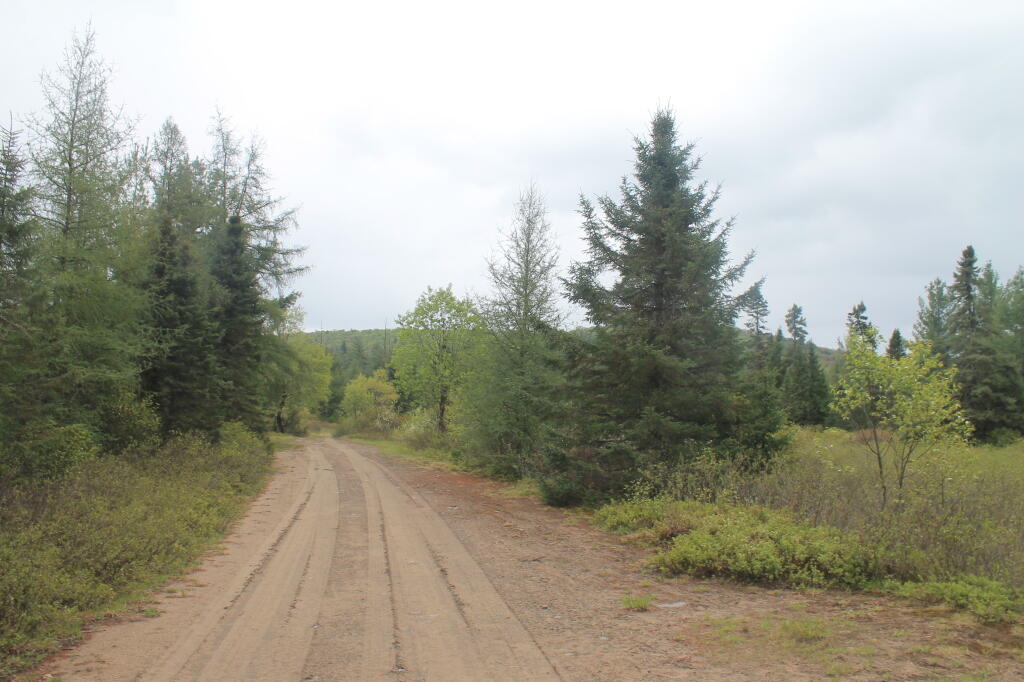 Photo: Mitchells Pond Trail from Upper Entrance