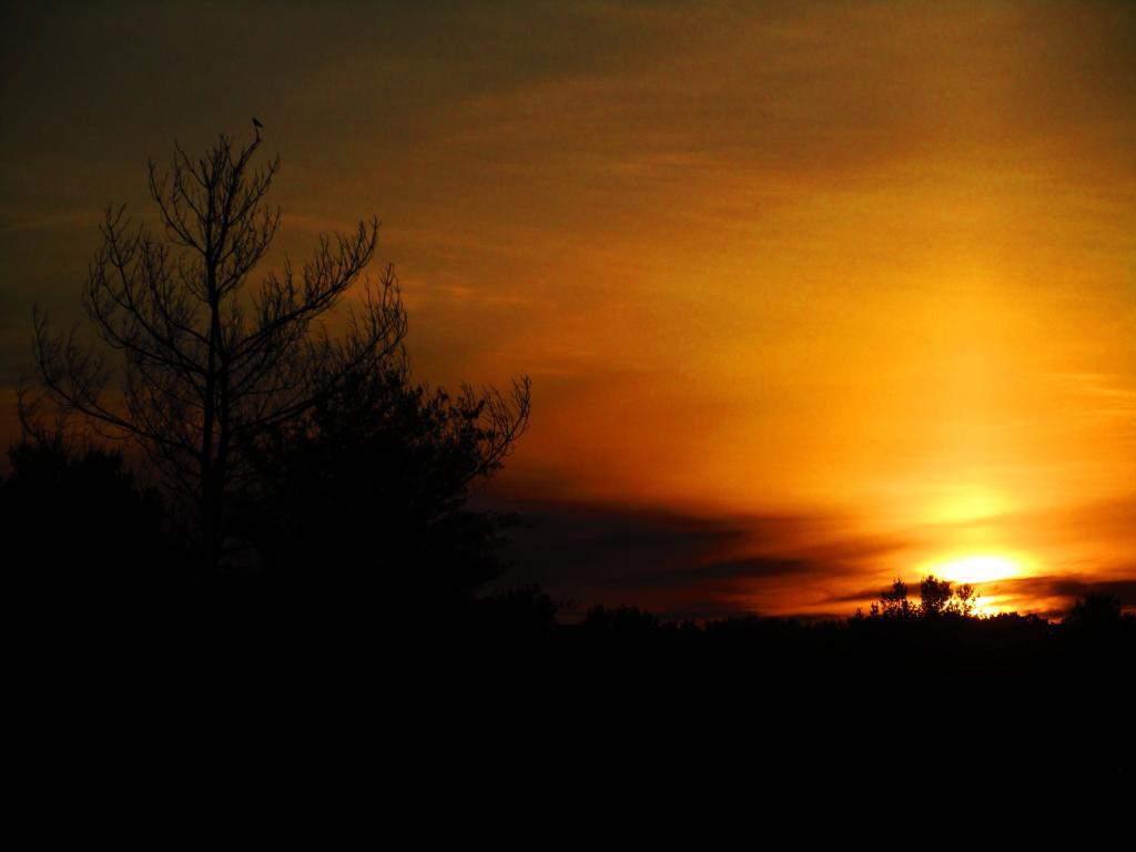 Photo: Sunrise Photo: Sunrise