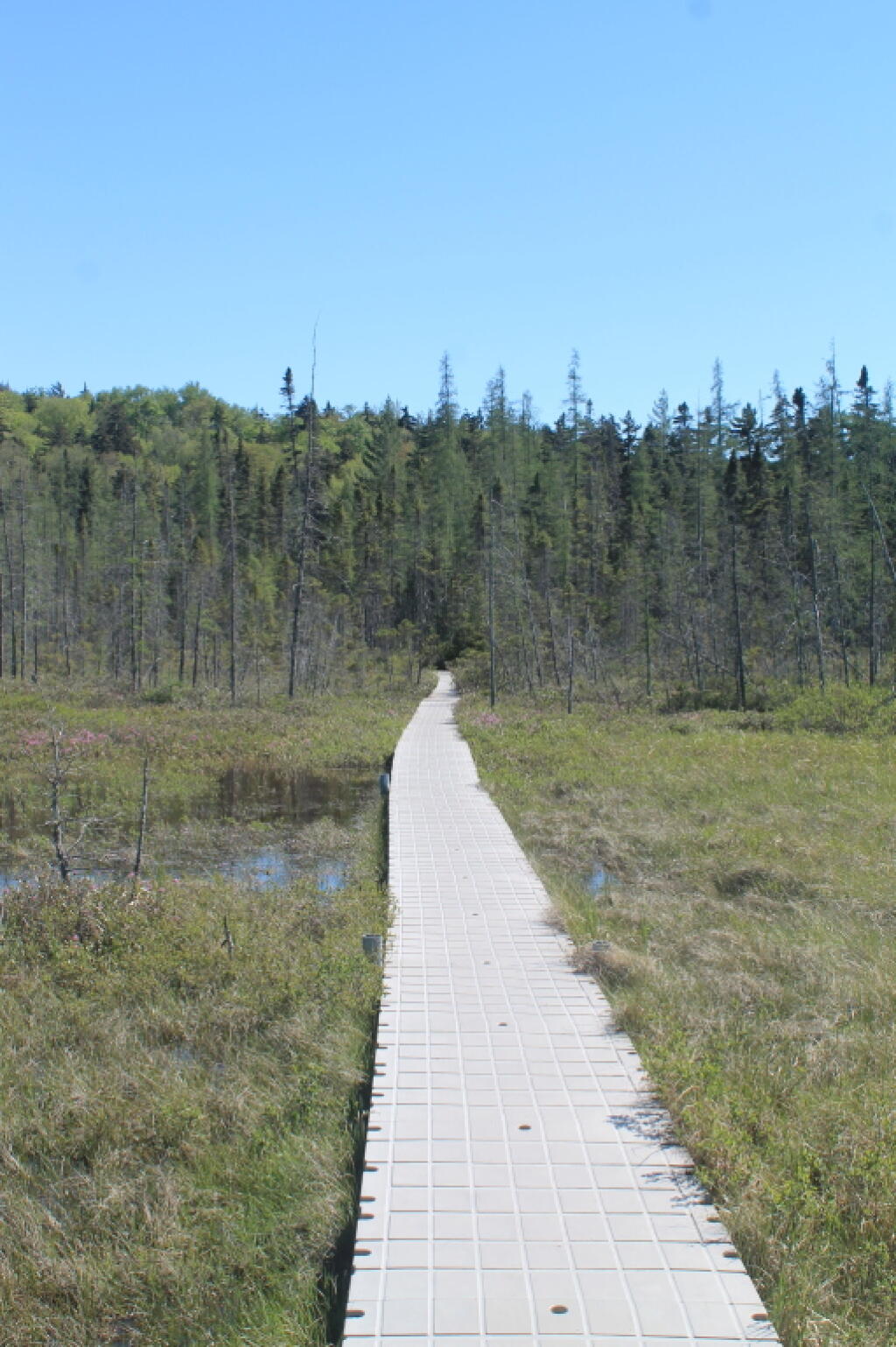 Photo: The Boardwalk Sure is Ugly