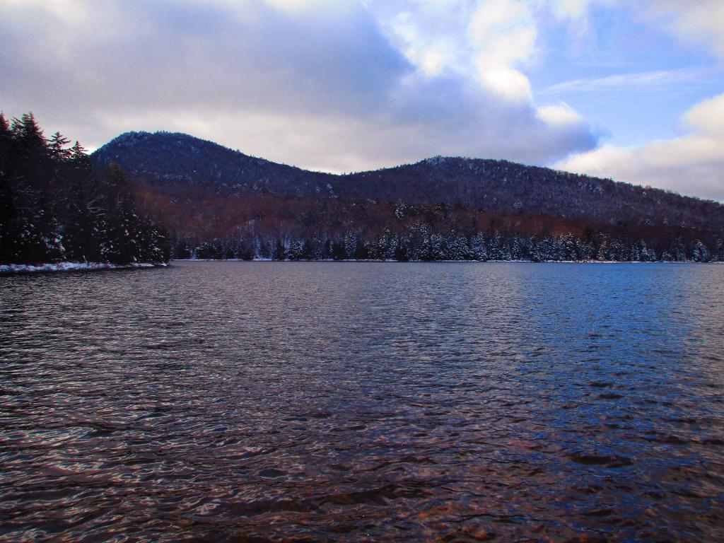 Photo: Siamese Pond
