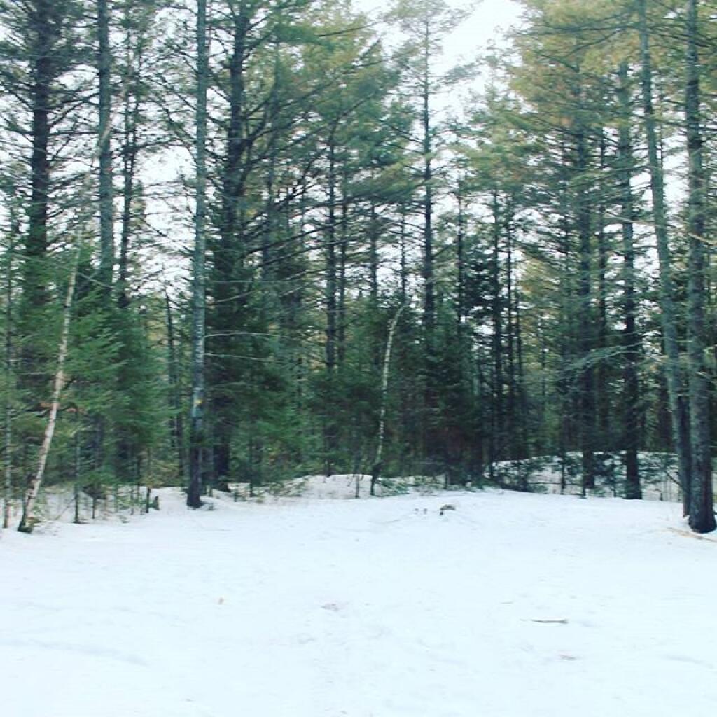 Photo: Nice campsite