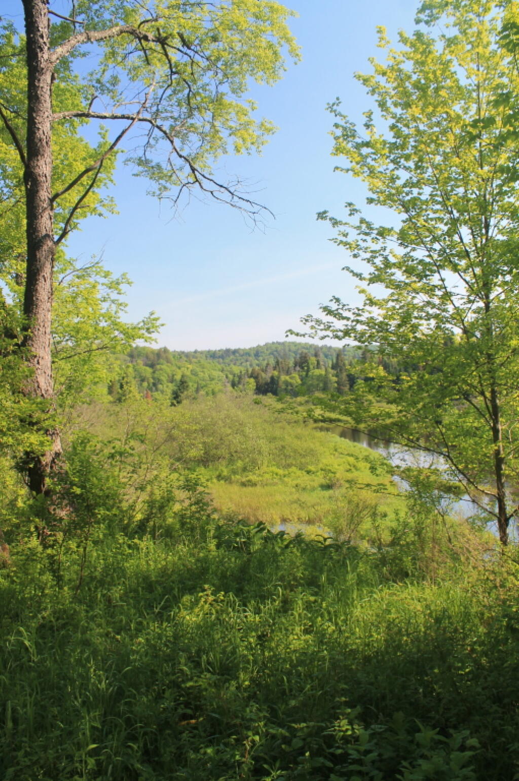 Photo: Springtime at East Canada Creek Photo: Springtime at East Canada Creek