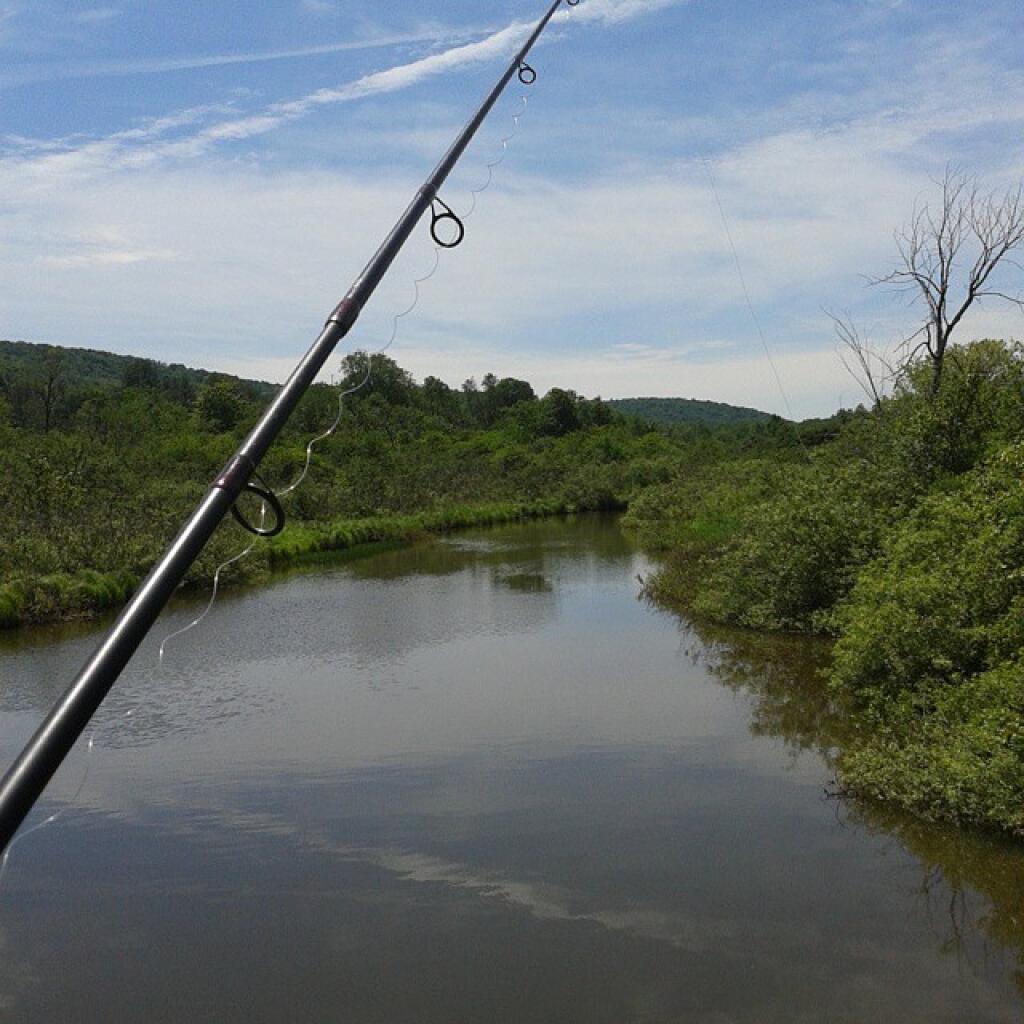 Photo: Beautiful day