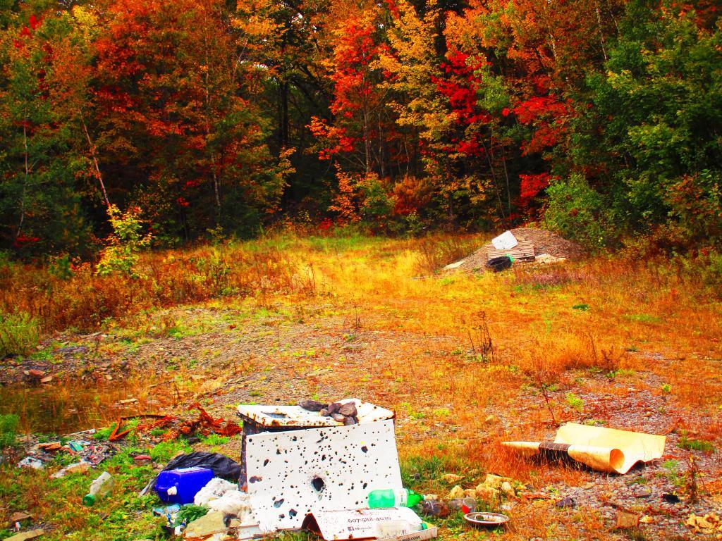 Photo: Trashy Shooters