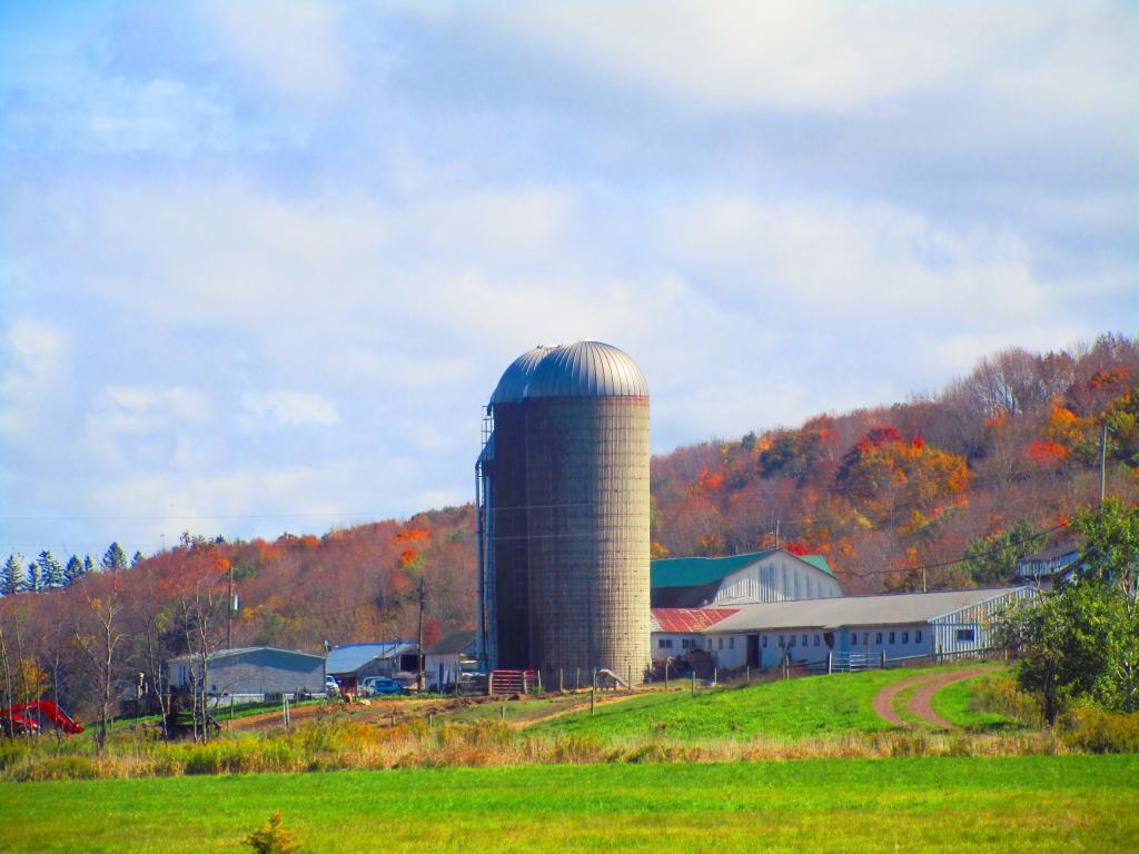 Photo: Murphy Farm Photo: Murphy Farm