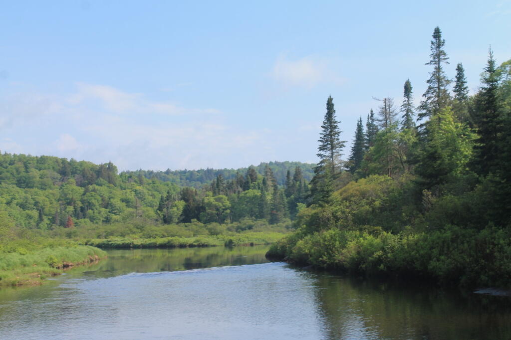Photo: West Branch of East Canada Creek Photo: West Branch of East Canada Creek