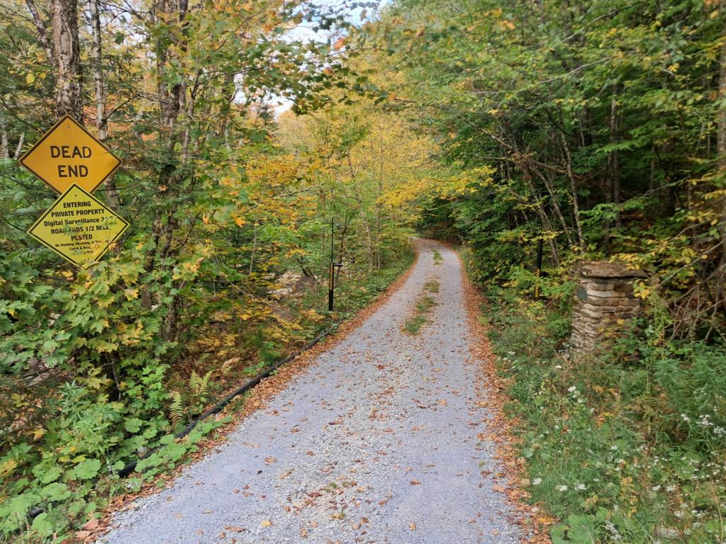 Photo: Untitled Photo: Untitled