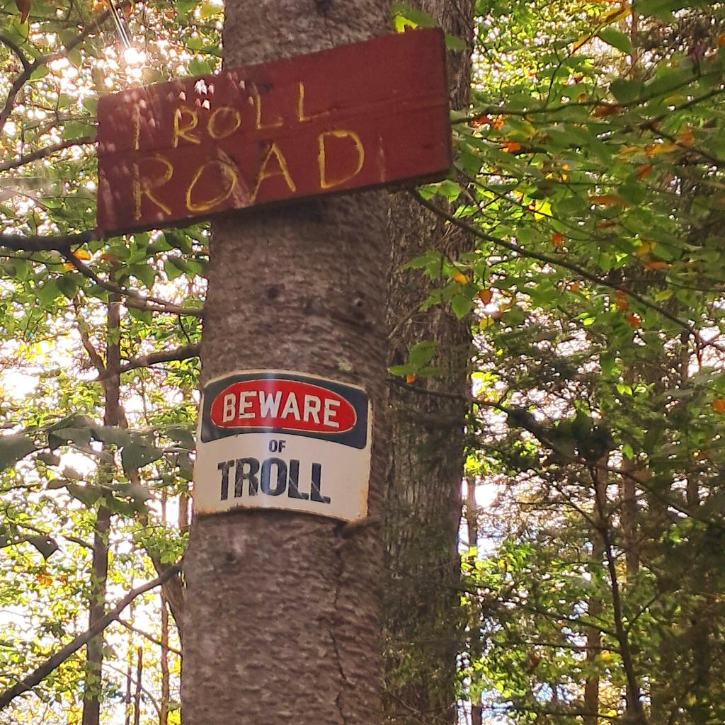 Photo: Troll Road