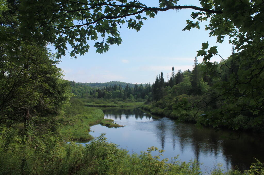 Photo: East Canada Creek