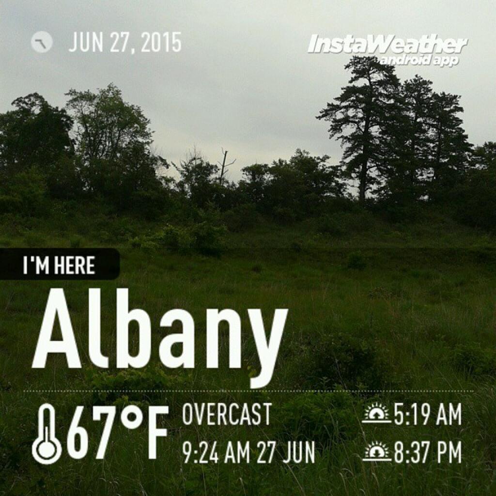 Photo: Save the Pine Bush Hike Weather