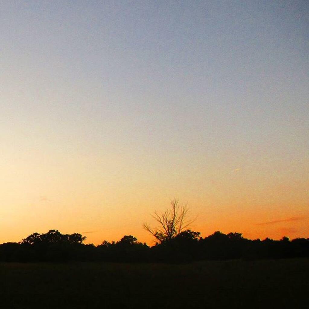 Photo: Dusk