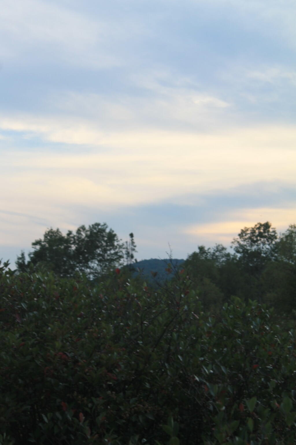 Photo: Towards Mitchell Ponds Mountain Photo: Towards Mitchell Ponds Mountain