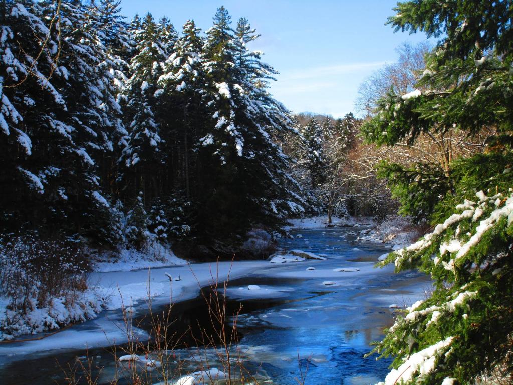 Photo: East Branch Sacandaga River Near the Burnt Shanty Clearing