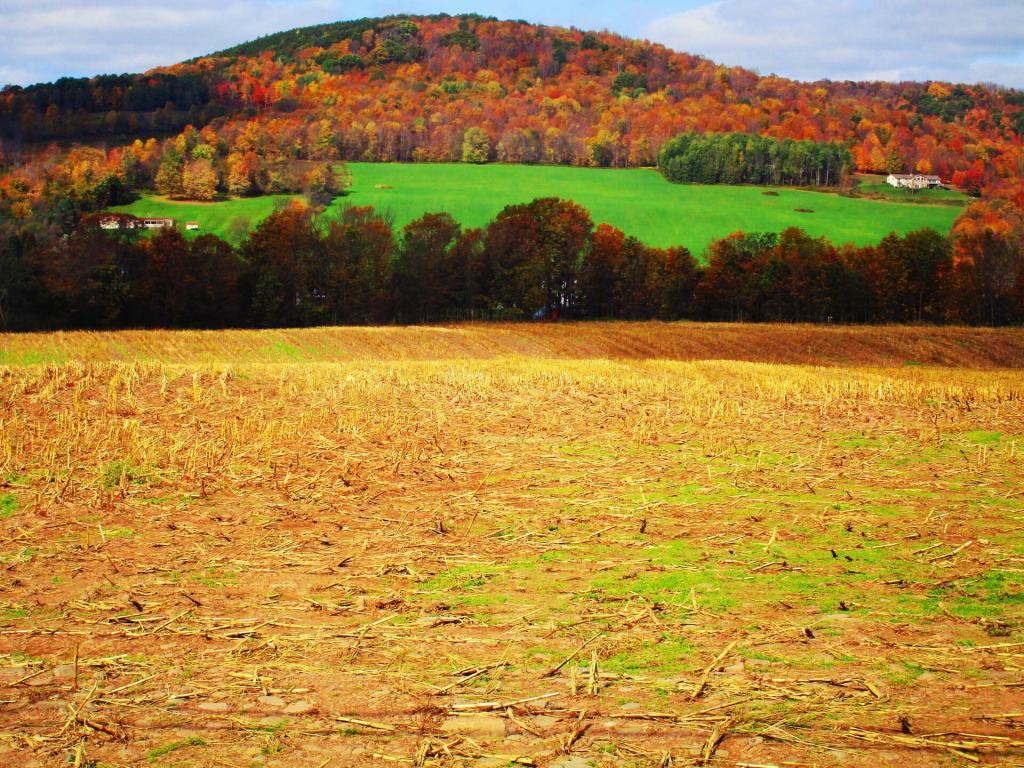 Photo: After Silage Time Photo: After Silage Time