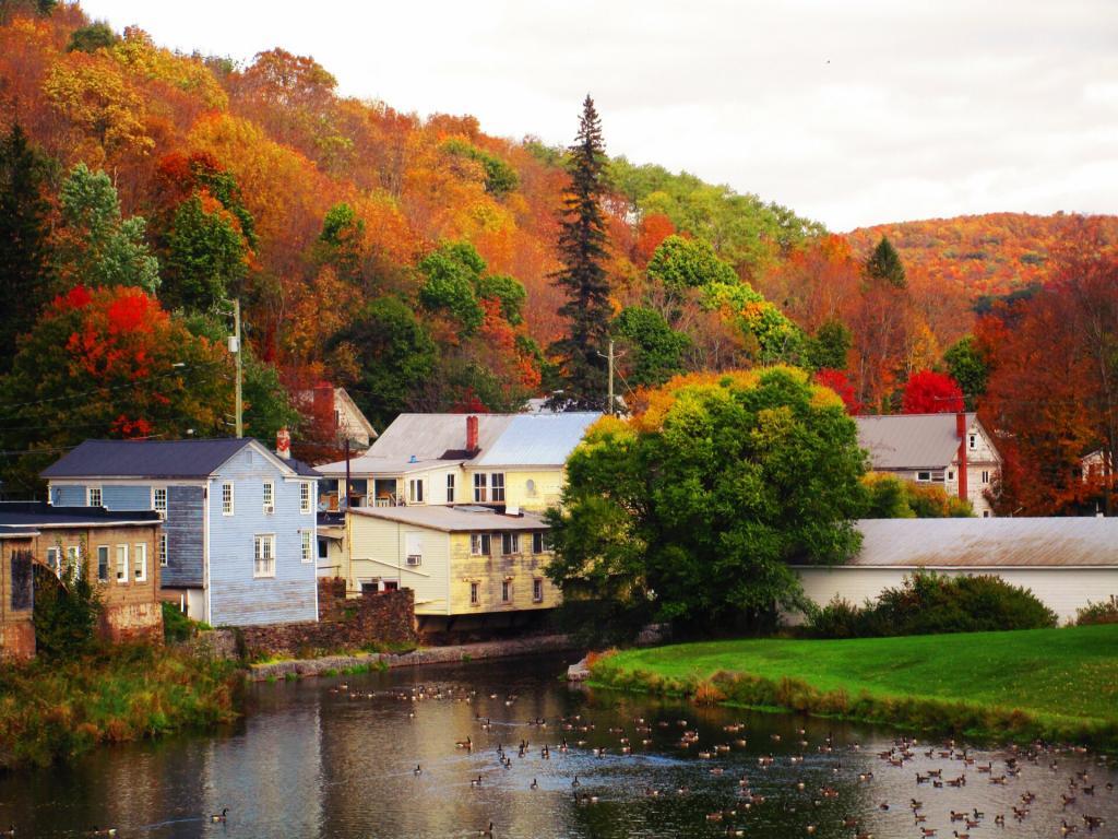 Photo: Hobart Village Pond Photo: Hobart Village Pond