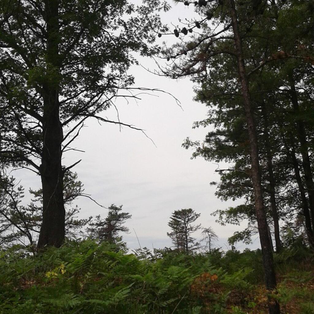 Photo: Gray day