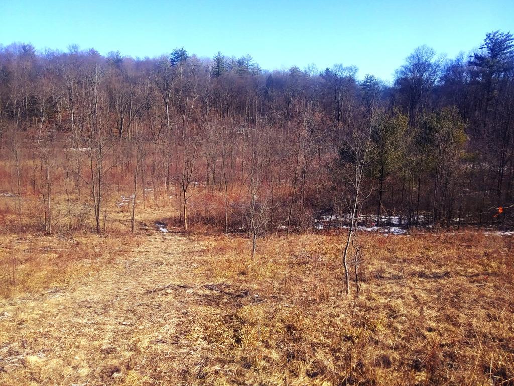 Photo: While the lands on the west side of the Coeymans Creek are easy to get to Photo: While the lands on the west side of the Coeymans Creek are easy to get to