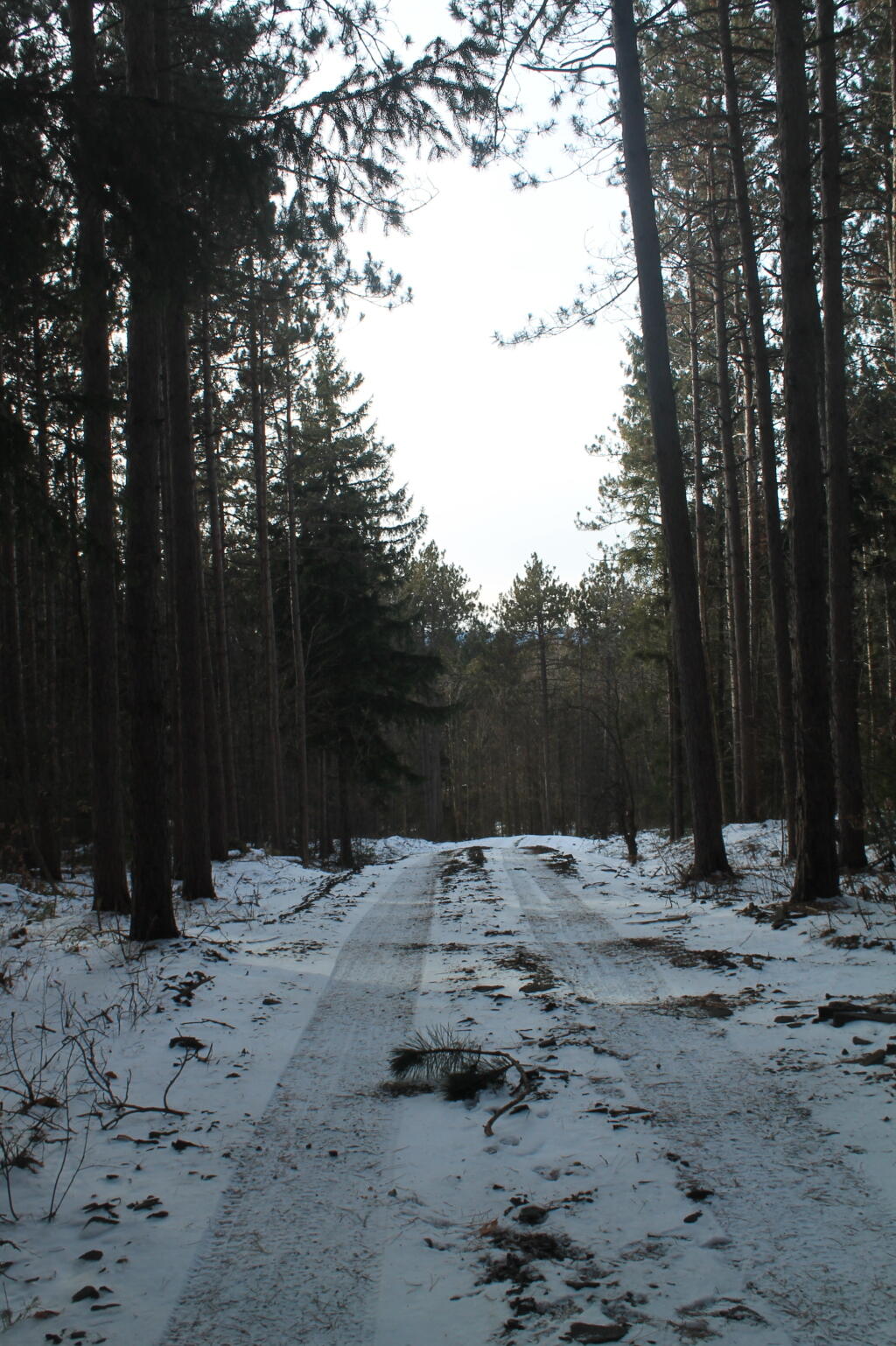 Photo: Cole Hill Truck Trail